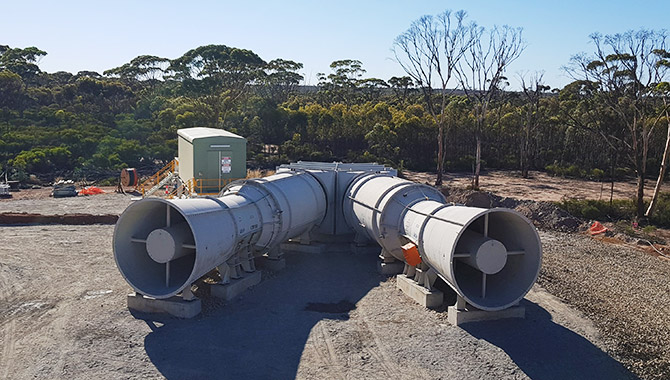 Spotted Quoll Installation